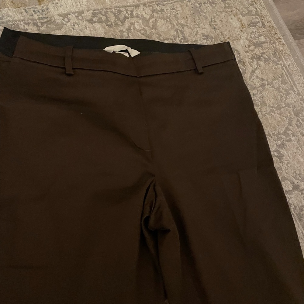 Brown skinny fit dress pants, size 10 in US women sizing.